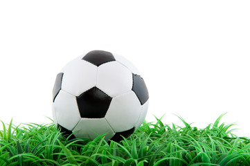 soccer ball in green grass