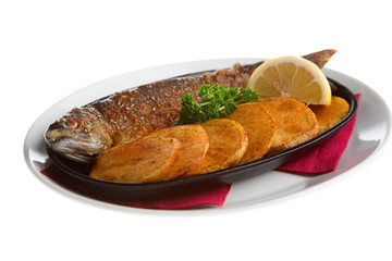fish