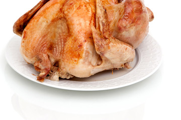 Whole turkey on white background