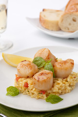Scallops Risotto