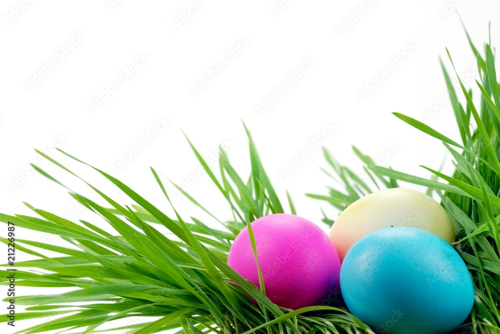 Wall mural easter eggs on fresh grass