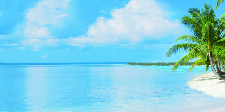 paysage paradisiaque