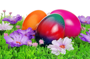 Ostereier auf Blumenwiese - easter eggs on flower meadow 36