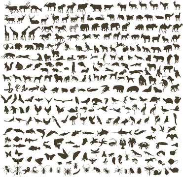 300 silhouettes of animals