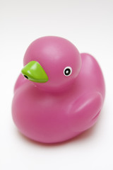 toy rubber pink duck on white background