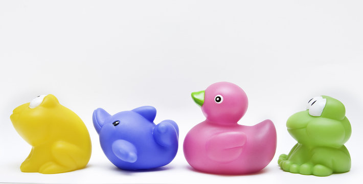 toy rubber group with frog, dolphin and duck on white background