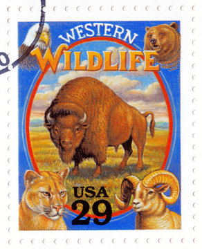 Stamp printed in the USA shows Western Wildlife