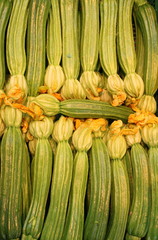 Zucchini flowers