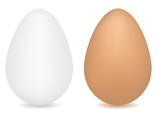Eggs vector illustration