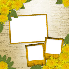 Writing abstract background  with bunch of dandelions