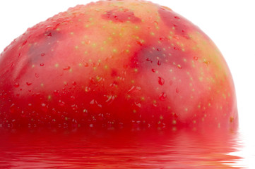 red plum in the water
