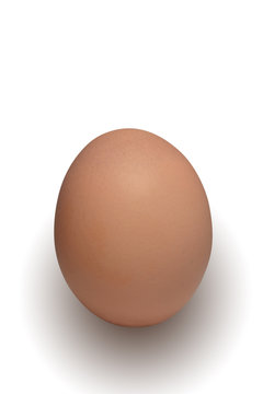 The brown Easter Egg on the white Background
