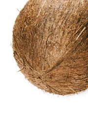 Coconut isolated on the white background