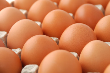 Package of chicken eggs