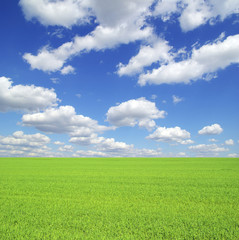 Obraz premium nature