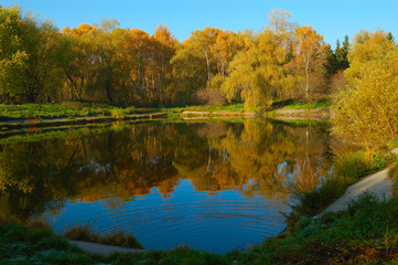 Fototapeta na wymiar Yellow trees with lake and reflection of the blue sky