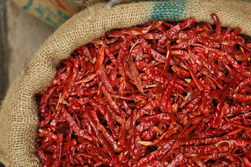 Fototapeta premium Dries Chillies