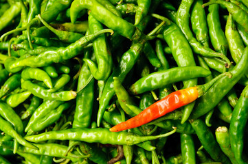 Green and Red Chillies at market.  Kollam, Kerala, India