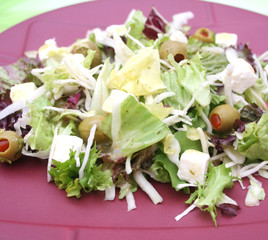 Gemischter Salat