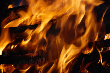 Closeup of burning red fire wood