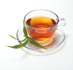 cup with tea with green leaf