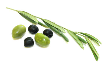 olivo