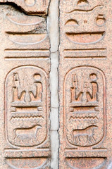 hieroglyph on the wall, Egypt