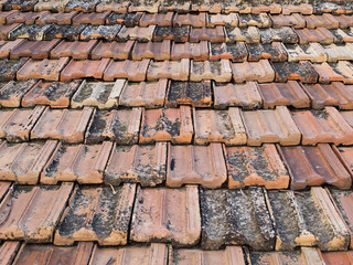shingles on the roof