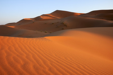 Diversas dunas no deserto