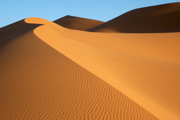 Fototapeta na wymiar Dune krajobraz