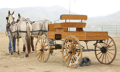 Hitching up the Carriage