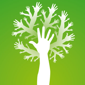 main arbre