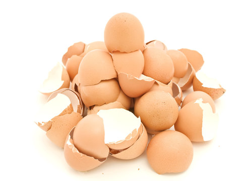 Heap of egg shell