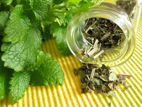 Teekr&auml;uter mit Melisse