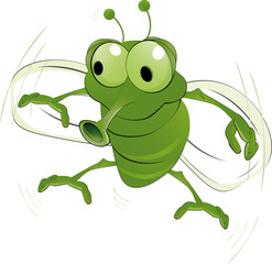 green an insect