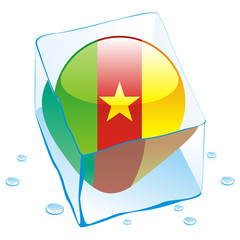 vector of cameroon button flag frozen in ice cube