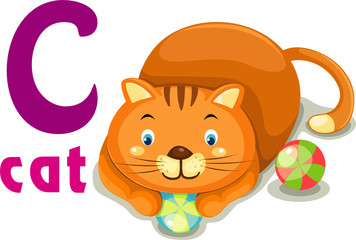 animal alphabet C