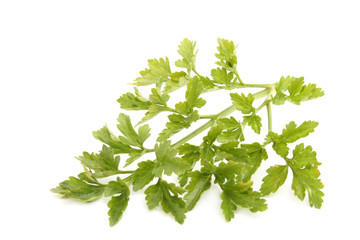 parsley