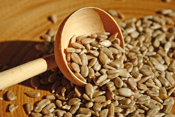 graines de tournesol