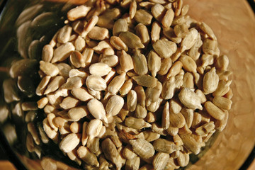 graines de tournesol