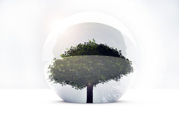 Arbre et sph&egrave;re