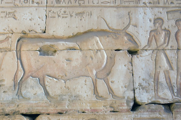 Ancient Egyptian Buffalo carving