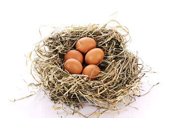 Bird nest with three eggs isolated on white.