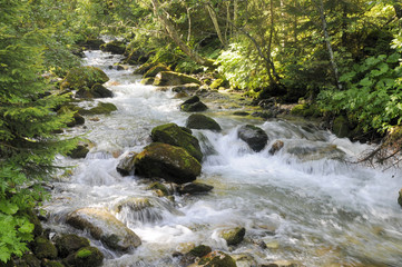 Obraz premium Bergbach