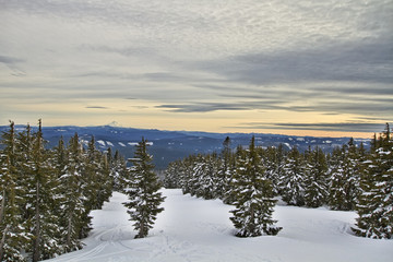 Winter Scene at Mount Hood