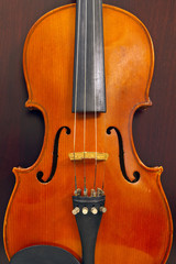 Violin on Wood Background