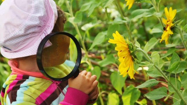 girl observe flowers with bumble-bee sits on it through loupe