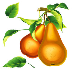 Pears