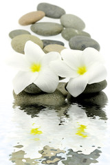 Fototapeta na wymiar Zen wystrój, białe kwiaty, kamienie, relaks, białe tło