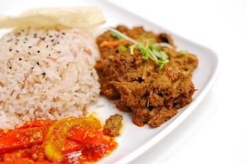Malay vegetarian rendang chicken or mutton rice